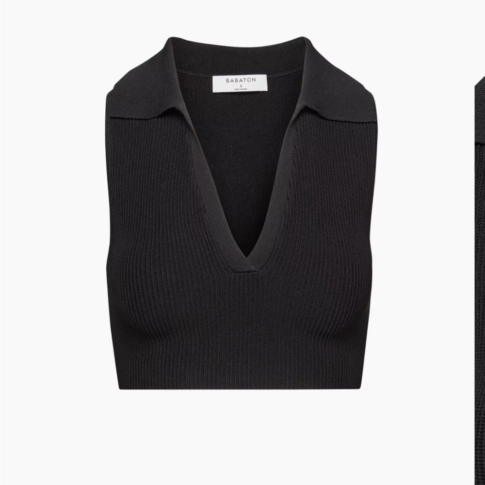 Aritzia Babaton Knit Polo top